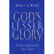 342292: God's Lesser Glory